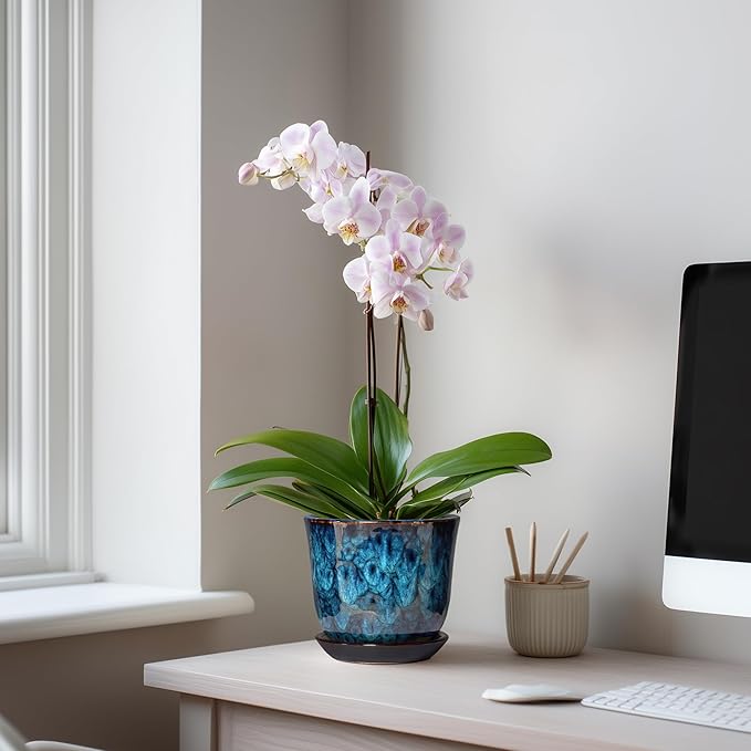 5.6 Inch Plant Pot - Ceramic Pots for Plants with Drainage Hole and Saucer, Round Succulent Flower Orchid Pot for Indoor Outdoor, Modern Planter, Home Room Decor, Gift for Plant Lover, Blue