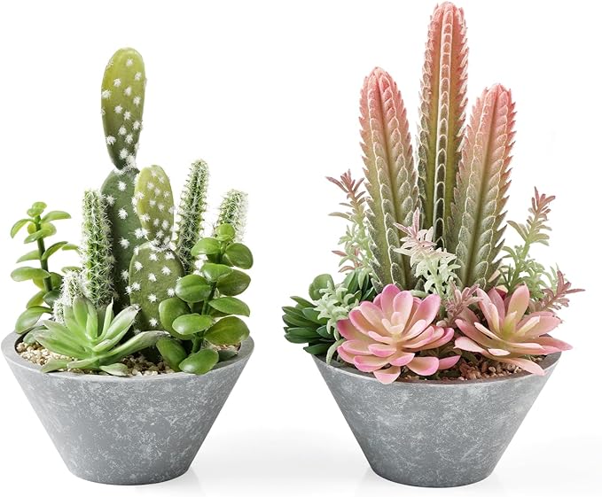 2-Pack Artificial Succulent Plants in Vintage Plastic Pots - Waterproof Fake Plants Decor for Home Office Desk - Low Maintenance Indoor Greenery for Bathroom, Shelf & Table