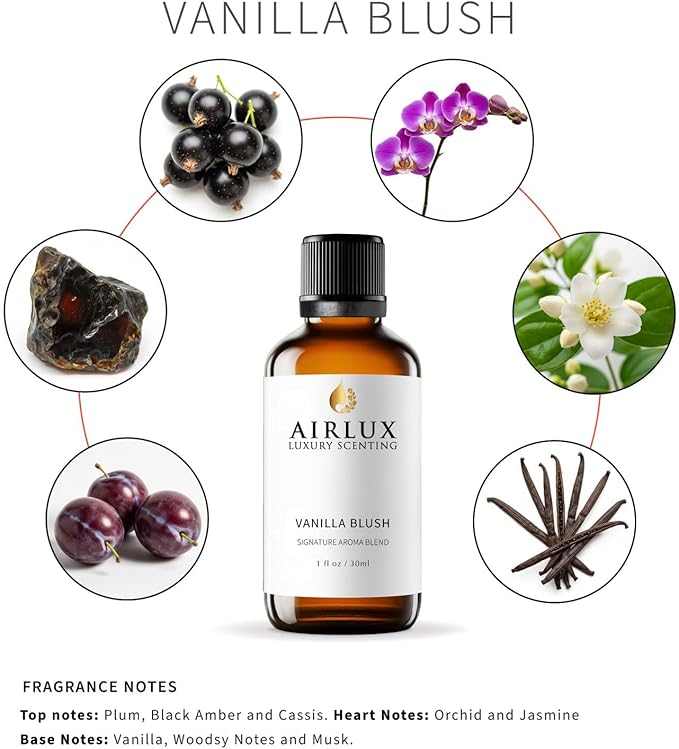Signature Aroma Oil No. 214 Vanilla Blush – Plum, Black Amber, Cassis – Aroma Oil for Cold Air & Waterless Diffusers and DIY Crafts – 30 mL, 1.0 fl oz Glass Bottle