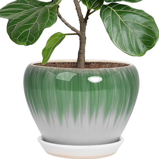 Deep Dream 10 Inch Plant Pot- Ceramic Planter Pot Round Plant Pots for Indoor Plants Outdoor Large Flower Pot with Drainage Holes & Trays, White&Green
