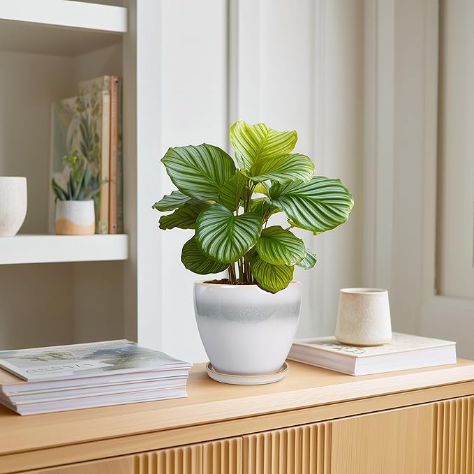 Ceramic Plant Pot - 6 Inch Ceramic Pots for Indoor Outdoor Plants, Decorative Planter with Drainage Hole and Saucer, Modern Plant Pots, Bedroom Room Decor, Plant Lover Gifts, White-Grey