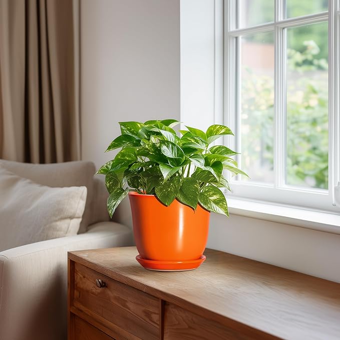 5.6 Inch Plant Pot - Ceramic Pots for Plants Indoor Outdoor, Succulent Pot with Drainage Hole and Saucer, Round Modern Flower Pots, Garden Home Room Decor, Gifts for Plant Lovers, Orange