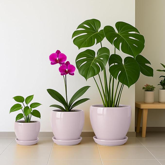 Deep Dream 6 Inch Plant Pots- Ceramic Planter Pot with Drainage Hole and Saucer, Round Flower Pot for Indoor Outdoor Succulent, Snake Plants and Cactus, Pink