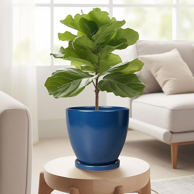 6.8 Inch Plant Pot - Ceramic Planter with Drainage Hole and Saucer, Modern Round Flower Pot, Planters for Indoor Plants, Home Garden Decor, Blue
