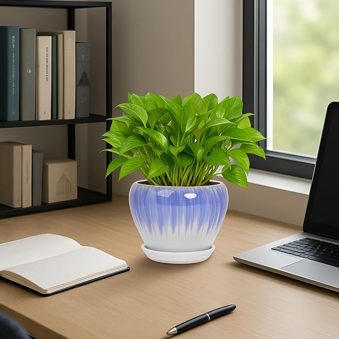 Deep Dream 6 Inch Plant Pots- Ceramic Planter Pot with Drainage Hole and Saucer, Round Flower Pot for Indoor Outdoor Succulent, Snake Plants and Cactus, White&Blue