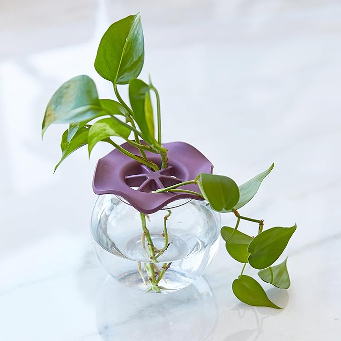 Item Name:Modern Sprout Botanical Keeper for Floral Arranging & Plant Propagation - Eco-Friendly, BPA-Free, Sustainable Materials - Hydration Tray - Gift for Plant Lovers and Gardeners - 2 Pack