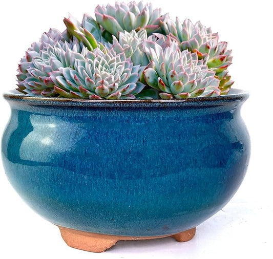 8 Inch Succulent Pot with Drainage and Saucer Glazed Terracotta Round Ceramic Succulent Planter Cactus Bonsai Plant Pot (Dark Green)