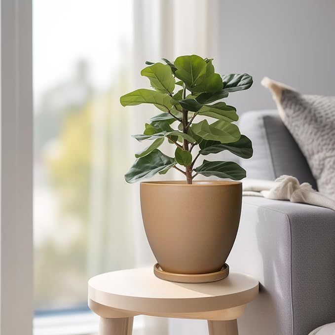 6.8 Inch Planter - Ceraimc Pots for Indoor Outdoor Plants Round Planters Modern Flower Pot with Drainage and Tray Home Garden Decor Brown