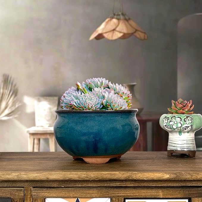8 Inch Succulent Pot with Drainage and Saucer Glazed Terracotta Round Ceramic Succulent Planter Cactus Bonsai Plant Pot (Dark Green)
