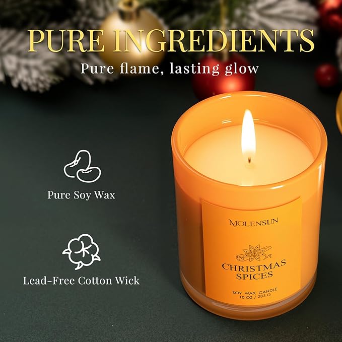 Christmas Spices Candle, 10oz Soy Scented Candle for Home, Christmas Birthday & Holiday Gifts for Women & Men, Long Lasting 50+ Hour Clean Non-Toxic Burn, Elegant Winter & Christmas Home Decor