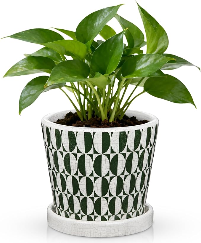 5.5 Inch Ceramic Plant Pot, Ice Crack Plant Pots with Drainage Hole and Saucer, Vintage Flowers Pot for Plants Indoor Outdoor Home Patio Office Decor (Green)