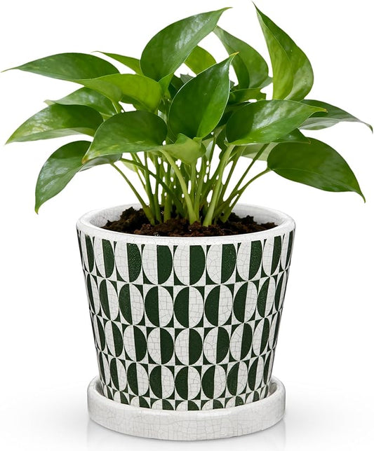 5.5 Inch Ceramic Plant Pot, Ice Crack Plant Pots with Drainage Hole and Saucer, Vintage Flowers Pot for Plants Indoor Outdoor Home Patio Office Decor (Green)