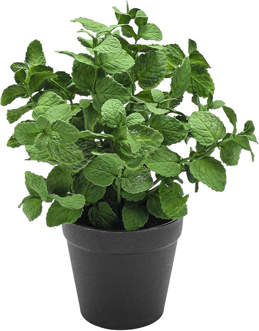 Small Fake Plants Mint Artificial Potted Plants for Home Office Bathroom Shelf Farmhouse Coffee Table Decor (Green)