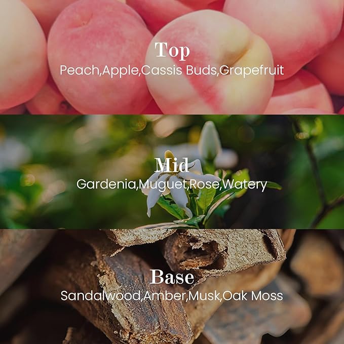 M&SENSE Natural Soy Candle| Pink Jasmine Blossom | 5.3 oz | Minimalist Scented Candle for Relaxation, Gifting, Home Décor | for Bedroom, Office, Party Small