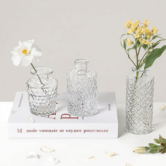 Glass Bud Vase Set of 3 Pcs Small Minimalist Vases for Flowers, Vintage Rustic Home Decor for Table Centerpiece Wedding Party, Modern Clear Aromatherapy Bottle for Living Room Bedroom