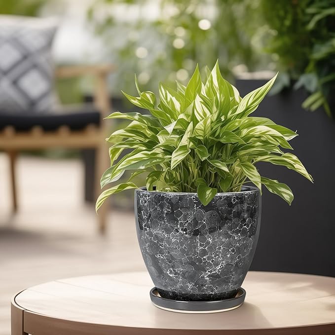 6.3 Inch Plant Pot - Ceramic Planter for Indoor with Drainage Hole and Saucer, Round Succulent Pot, Modern Flower Planters, Home Room Garden Office Decor, Gardening Gifts for Women, Grey