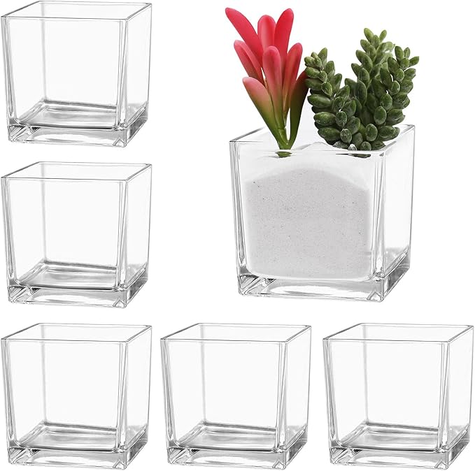 Square Vases Set of 6, 3"x 3"x 3" Glass Vases for Flowers, Square Flower Vase for Centerpieces, Small Clear Vase for Wedding, Party, Home Office Decoration