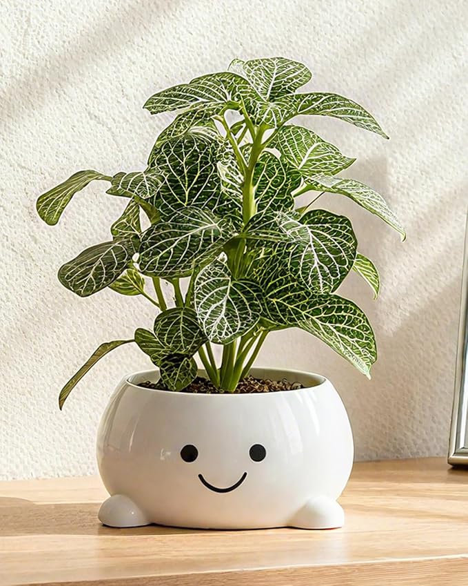 Smily Face Planter Pot Funny Toilet Plant Pots Cute Ceramic Flower Head Planters Succulent Pots for Indoor Outdoor Plants Unique Bathroom Planter with Drainage Hole