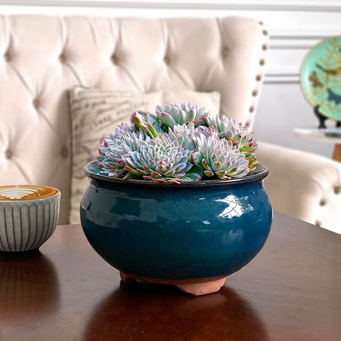 8 and 5.5 Inch Succulent Pot with Drainage and Saucer Glazed Terracotta Round Ceramic Succulent Planter Cactus Bonsai Plant Pot (Dark Green)