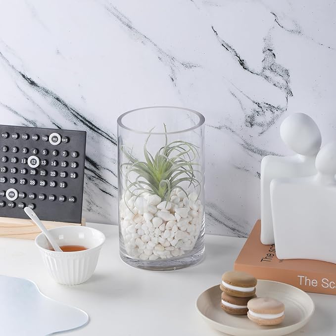 5’ Wide 8" High Large Hand Blown Sturdy Clear Cylinder Glass Vase, Centerpiece Flower Vase for Rose, Tulip, Boquets, Hurricane Candle Holder (1, 5"x8")