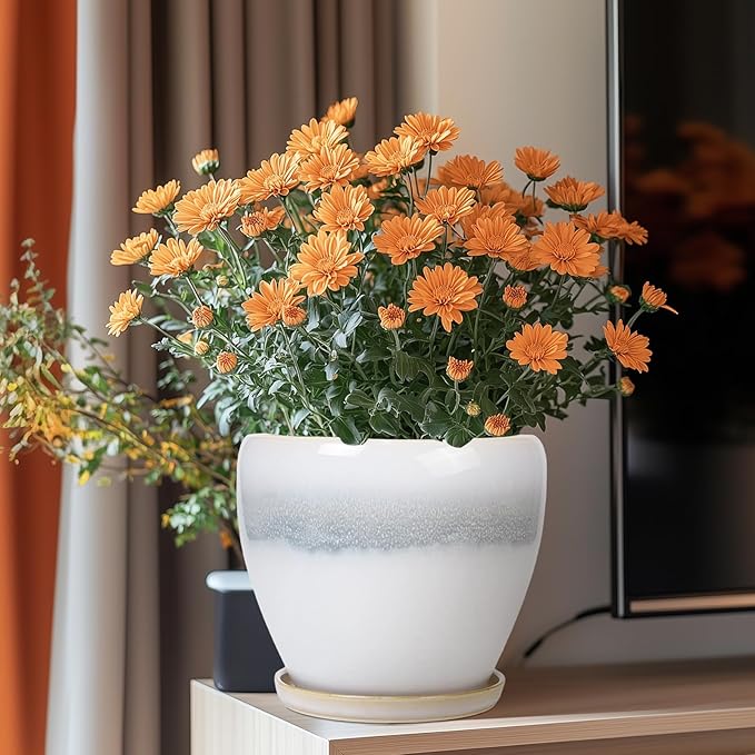 Ceramic Pots for Plants - 8 Inch Planter with Drainage Hole and Saucer, Round Flower Pot for Indoor Outdoor Plants, Decorative Planter, House Patio Decor, Housewarming Gifts, White-Grey