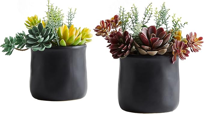 Artificial Succulents in Ceramic Pots 2 Pcs Large Fake Plants Matte Black Decor, for Desk, Bedroom, Living Room, Bathroom, Office, Bookshelf, Home Faux Decoration