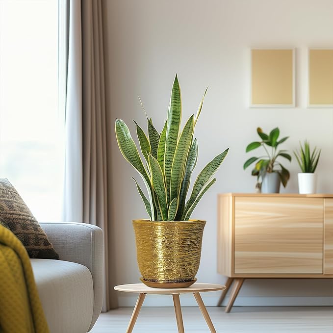 Ceramic Plant Pots - 8 Inch Plant Pot with Drainage Hole and Saucer, Round Planter for Indoor Outdoor, Modern Flower Pot, Decorative Planter, Garden Home Office Decor, Gardening Gifts, Gold