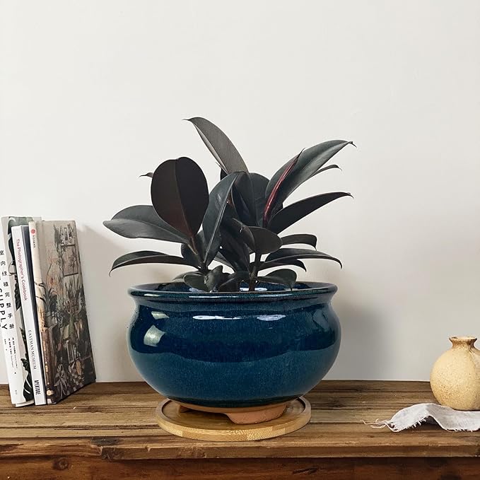 8 and 5.5 Inch Succulent Pot with Drainage and Saucer Glazed Terracotta Round Ceramic Succulent Planter Cactus Bonsai Plant Pot (Dark Green)