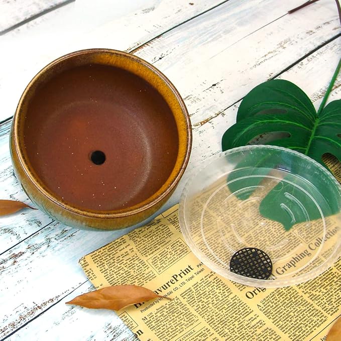 8 Inch Glazed Terracotta Plant Pot Round Ceramic Succulent Planter Pot with Drainage and Saucer Cactus Clay Pot Bonsai Pot (Brown and Green)