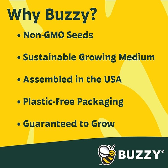 BUZZY Seeds Terracotta Mini Grow Pots | Flower Starter Kit for Kids & Adults | Assorted 12-Pack, Bright Series Collection, Daisy, Lavender, Mini Rose, Sunflower | Gardening Gift, Party Favors