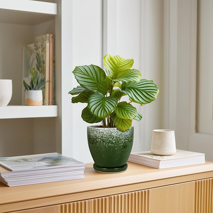 6 Inch Plant Pot - Ceramic Plant Pots with Drainage Hole and Saucer, Ceramic Planter for Indoor Outdoor Plants, Round Modern Planter, Room House Decor, Gifts for Women Men, Green