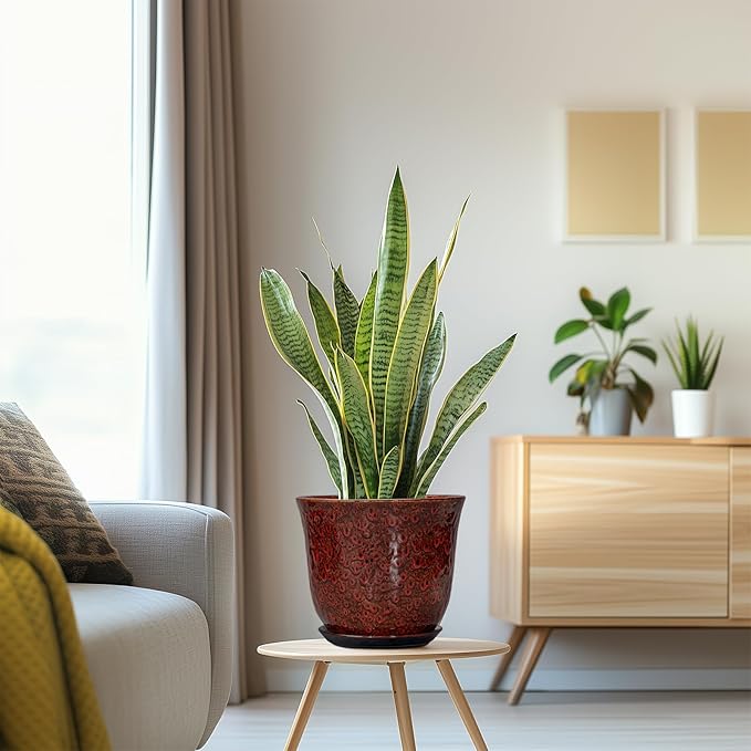 Ceramic Planter - 8 Inch Plant Pot for Indoor Outdoor, Ceramic Flower Pots with Drainage Hole and Saucer, Round Planter, Decorative Plant Pot, Room Home Apartment Decor, Gift for Women, Red