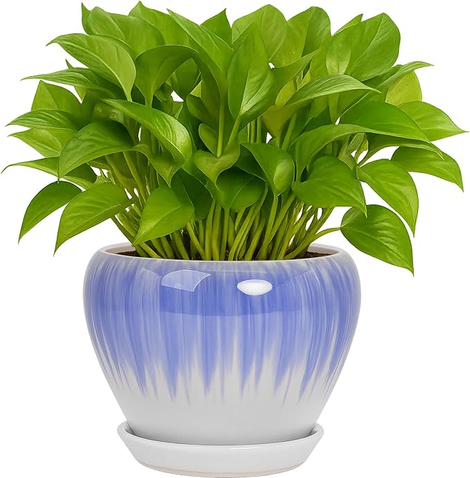 Deep Dream 6 Inch Plant Pots- Ceramic Planter Pot with Drainage Hole and Saucer, Round Flower Pot for Indoor Outdoor Succulent, Snake Plants and Cactus, White&Blue