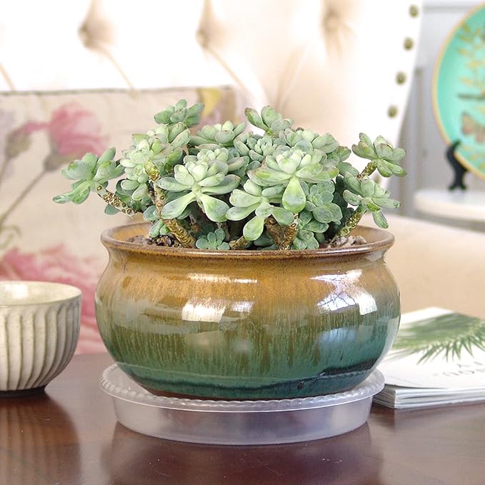 8 Inch Glazed Terracotta Plant Pot Round Ceramic Succulent Planter Pot with Drainage and Saucer Cactus Clay Pot Bonsai Pot (Brown and Green)