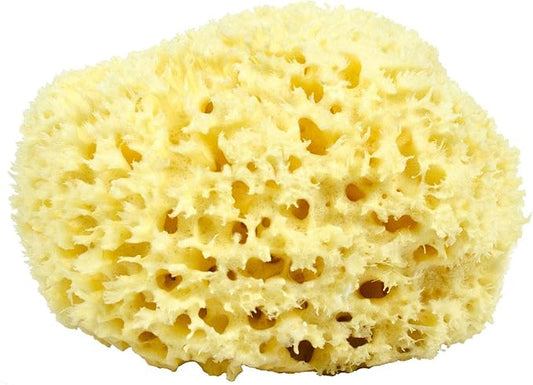 Sea Wool Sponge - All Natural Honeycomb Renewable Sea Sponge, Hand Cut, Jumbo, Approx. 7 Inches