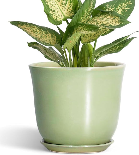 5.6 Inch Plant Pot - Ceramic Pots for Plants Indoor Outdoor, Round Orchid Succulent Pot with Drainage Hole and Saucer, Modern Small Planter, Home Room Window Decor, Plants Lover Gift, Green