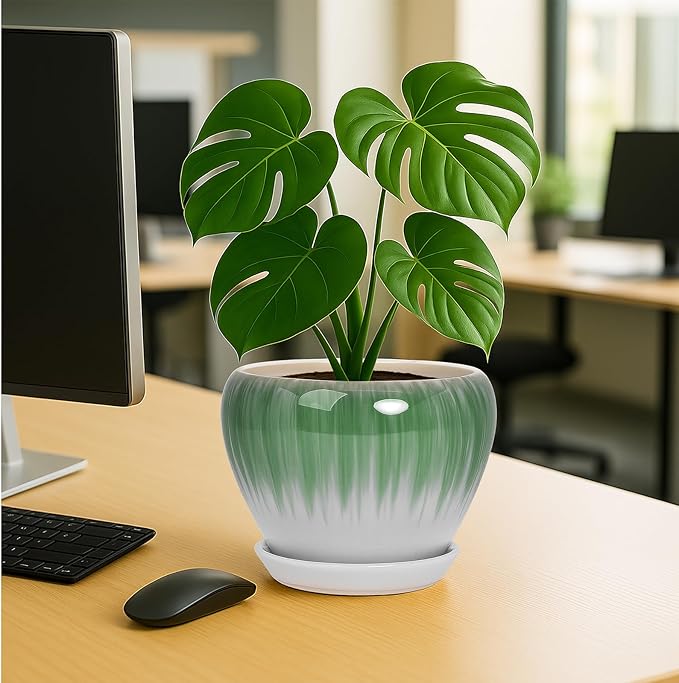 Deep Dream 8 Inch Plant Pots- Ceramic Pots for Plants with Drainage Hole and Saucer, Large Planter Pot for Indoor Plants Outdoor Decor, White&Green