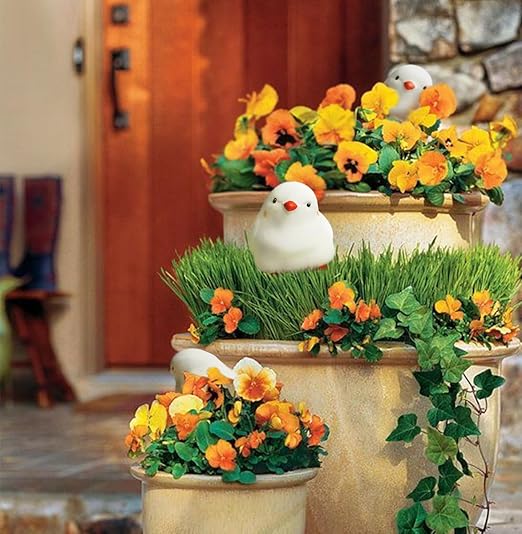 Bird Shaped Plant Watering Globes(4ps) Plants Suitable for Indoor and Outdoor Use Should be Kept Constantly Moist. The Interesting Shape Makes The Garden More Interesting and Beautiful.