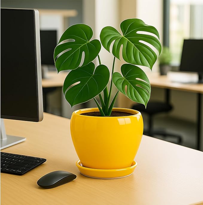 Deep Dream 8 Inch Plant Pots- Ceramic Pots for Plants with Drainage Hole and Saucer, Large Planter Pot for Indoor Plants Outdoor Decor, Yellow