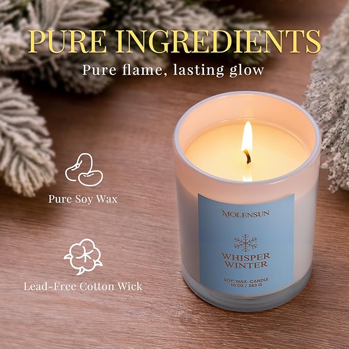 Whisper Winter Candle, 10oz Soy Scented Candle for Home, Christmas Birthday & Holiday Gifts for Women & Men, Long Lasting 50+ Hour Clean Non-Toxic Burn, Elegant Winter & Christmas Festive Home Decor