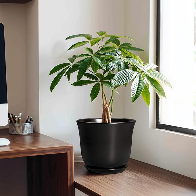 8 Inch Plant Pot - Ceramic Pots for Plants with Drainage Hole and Saucer, Round Planter for Indoor Outdoor, Modern Flower Pot, Gifts for Plant Lovers, Home Room Garden Porch Decor, Black