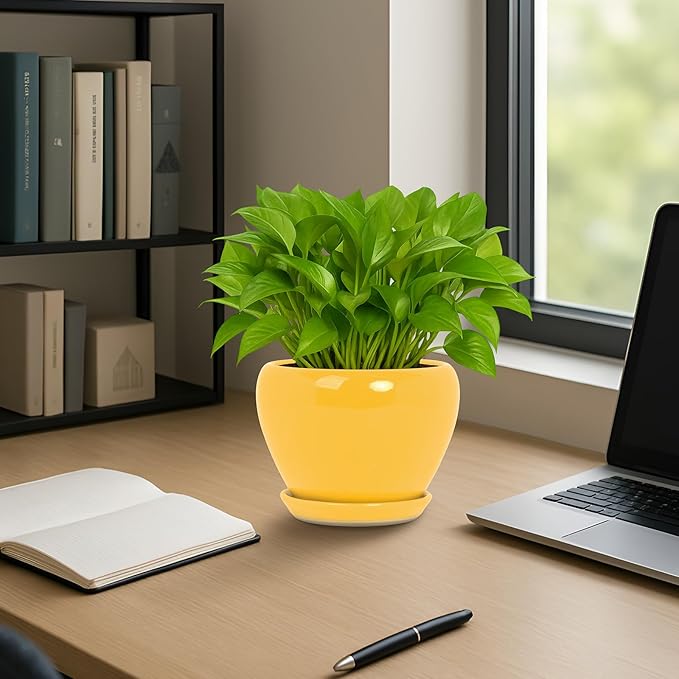 Deep Dream 6 Inch Plant Pots- Ceramic Planter Pot with Drainage Hole and Saucer, Round Flower Pot for Indoor Outdoor Succulent, Snake Plants and Cactus, Yellow