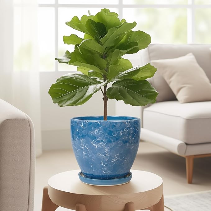 Ceramic Pots for Plants - 6.3 Inch Planter with Drainage Hole and Plant Tray, Decorative Succulent Pot, Round Flower Planter for Indoor, Garden Living Room Decor, Gifts for Plant Lovers, Blue