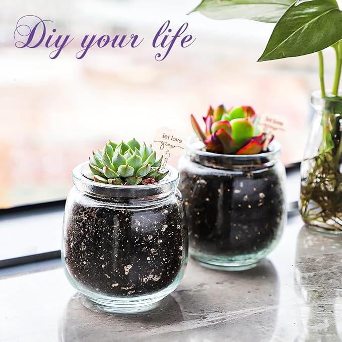 Syntic 40 Pack Small Glass Jars with Cork Lids, 7oz Empty Mason Jars for Making Candles, Yogurt Container with PE Lids for Wedding Favors, Baby Shower, Candy, Spices with Twine, Labels