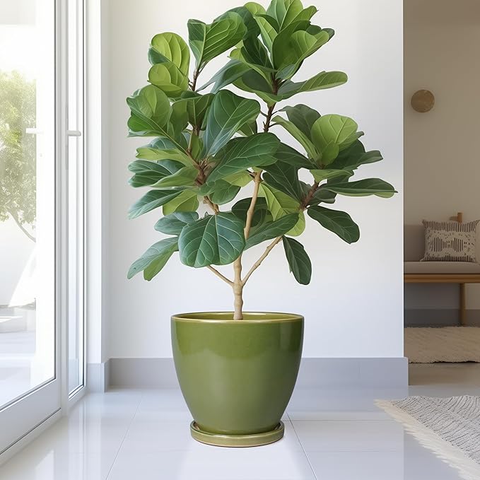 Ceramic Pots for Plants - 10 Inch Planter for Indoor Ourdoor Plants Modern Large Flower Pot with Drainage Hole and Saucer Room Home Office Garden Patio Porch Decor Green