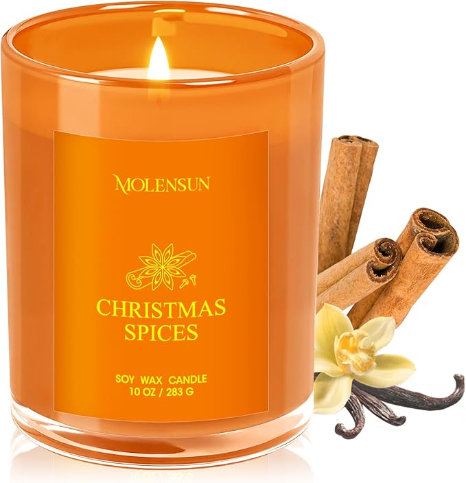 Christmas Spices Candle, 10oz Soy Scented Candle for Home, Christmas Birthday & Holiday Gifts for Women & Men, Long Lasting 50+ Hour Clean Non-Toxic Burn, Elegant Winter & Christmas Home Decor