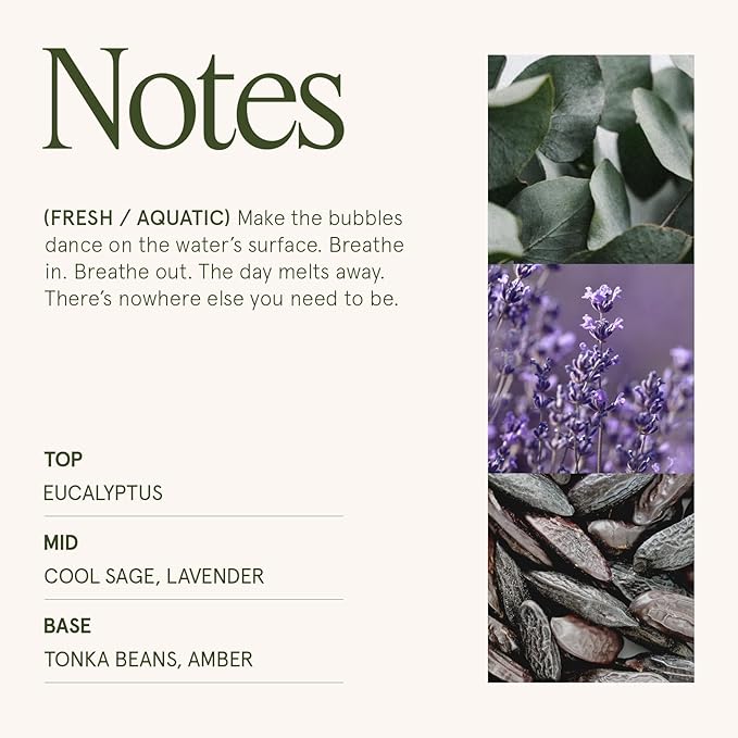 LA JOLIE MUSE Christmas Candle | Eucalyptus, Sage, Lavender | 12 oz Double Cotton Wick Soy Candle | 60 Hours Clean Burn | Christmas Gifts for Home & Women