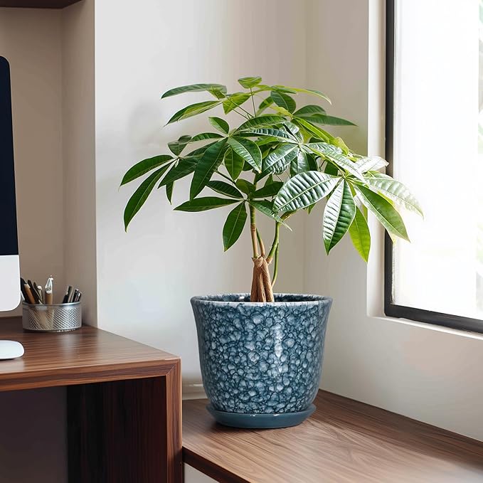 8 Inch Plant Pot - Ceramic Planter for Indoor Outdoor, Round Planter with Drainage Hole and Saucer, Modern Planters, Decorative Flower Pot, Garden Room Office Home Decor, Garden Gifts, Blue