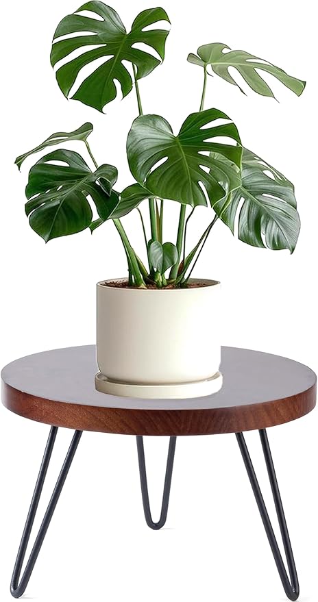 Plant Stand Indoor Outdoor, Wooden plant Stool, Mid Century Plant Stand for Indoor Plants, Wood Modern Plant Holder Rattan Flower, Low Short Boho Rustic Planter Stand Fit 5-15 Inch Pot (Walnut, L)