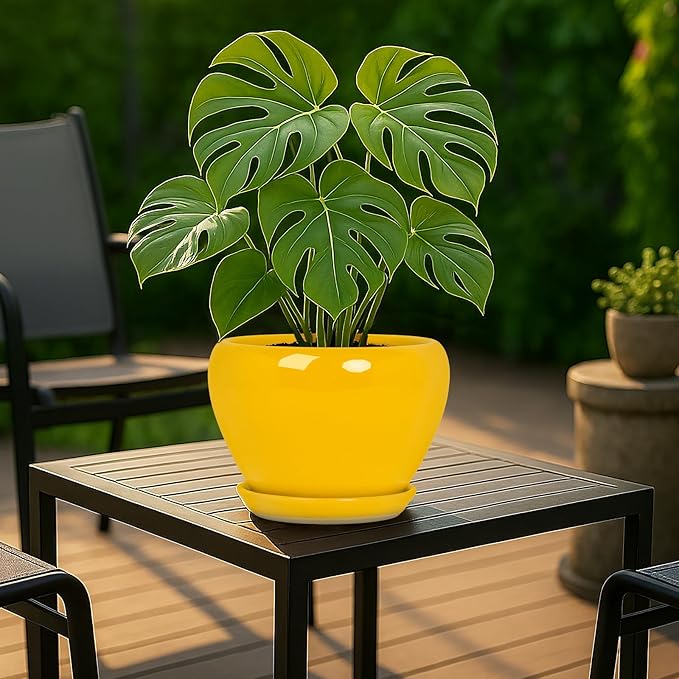 Deep Dream 8 Inch Plant Pots- Ceramic Pots for Plants with Drainage Hole and Saucer, Large Planter Pot for Indoor Plants Outdoor Decor, Yellow